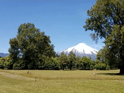 Mercado de los Terrenos en Villarrica